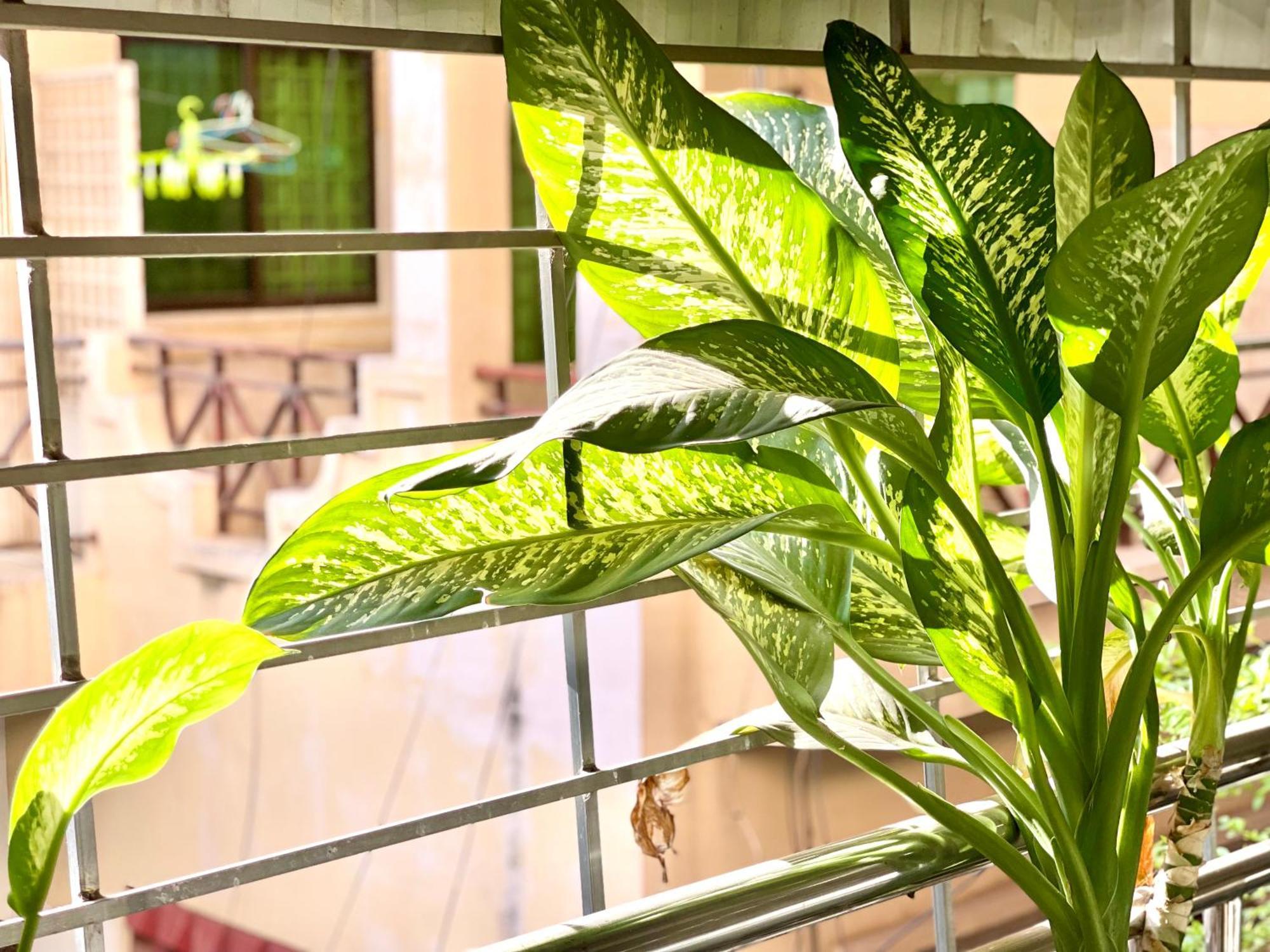 Sky Hotel Central Phnom Penh - Rooms & Apartments エクステリア 写真